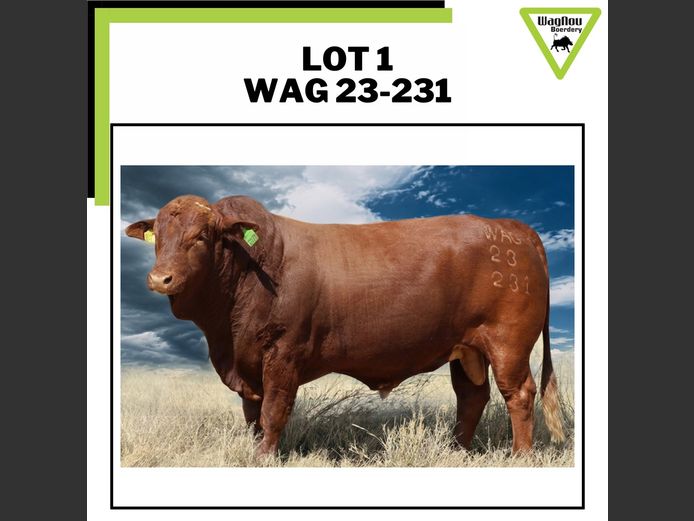 WAG 230231 | WAGNOU BOERDERY