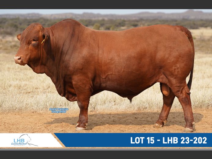 LHB230202 | LEEUHEUWEL BOERDERY (EDMS) BPK