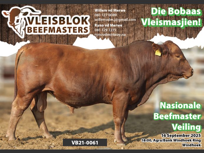 21-0061VB | VLEISBLOK BEEFMASTER