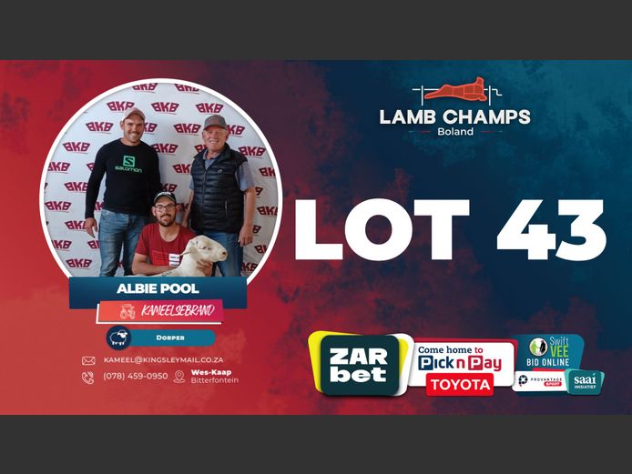 Albie Pool