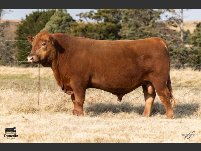 KCM 230046 | TABLE HILL FARMING PTY LTD