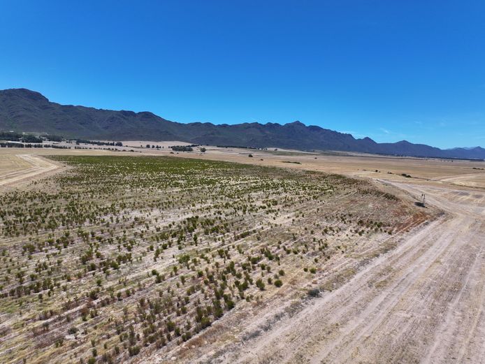 RE of Portion 8 of Farm 64 Goedemanskraal Piketberg RD