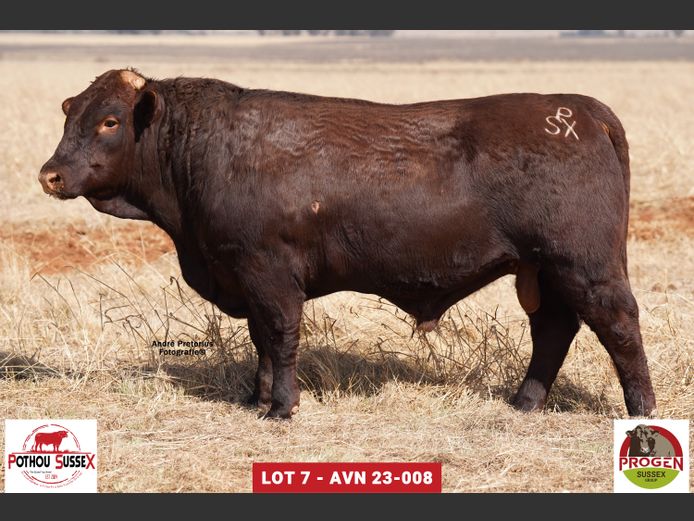 AVN 230008 | POTHOU BK