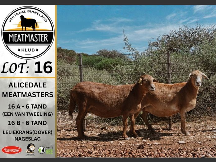 Ooie | Alicedale Meatmasters