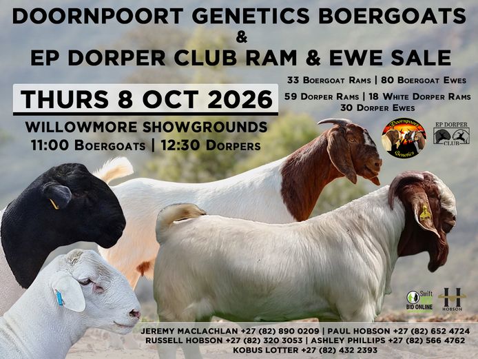 DOORNPOORT GENETICS BOERGOATS & EP DORPER CLUB RAM & EWE SALE