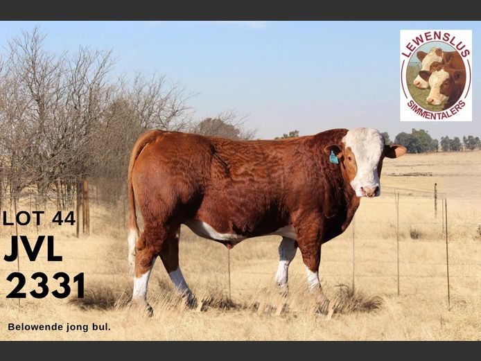 JVL2331 | JSH VAN DER LINGEN