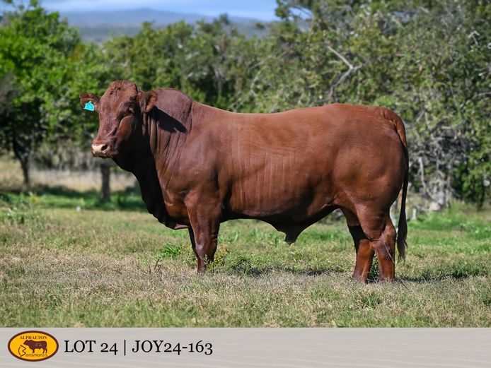 JOY240163 | FETTING LIVESTOCK TRUST