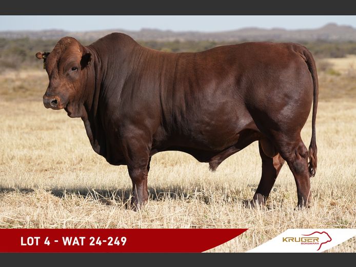 WAT240249 | KRUGER BOERDERY