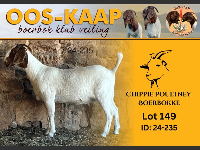 24-235 | Chippie Poultney