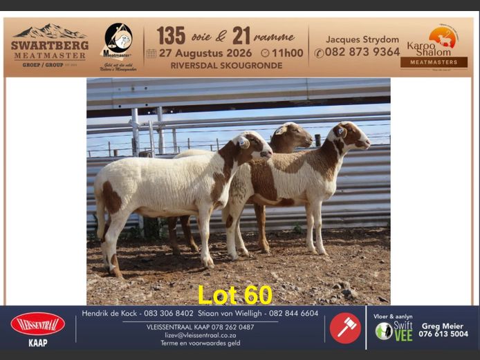 D24.10 | KAROO SHALOM