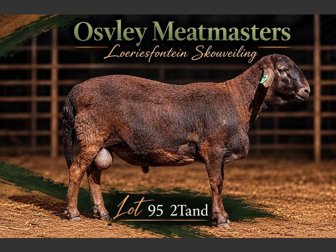 Osvley Meatmasters