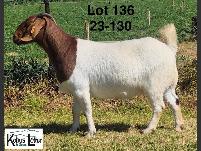 1384230130 | DIRK LOTTER
