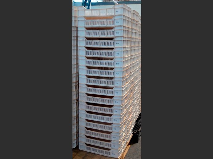 LOT OF 16: PLASTIC FRUIT CRATES
