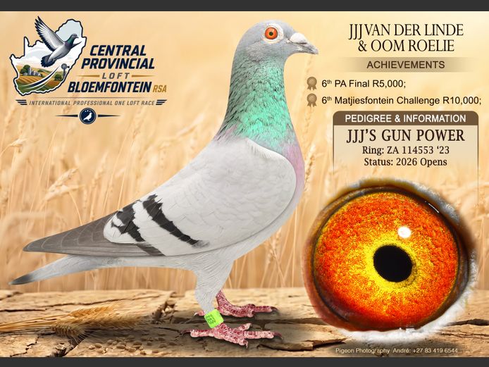 ZA 114553 2023 | JJJ VAN DER LINDE & OOM ROELIE