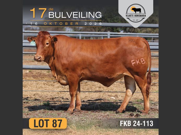 FKB240113 | FRITS KROON BOERDERY