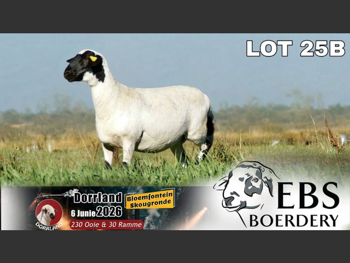 EBS 24 0037 | EBS Boerdery