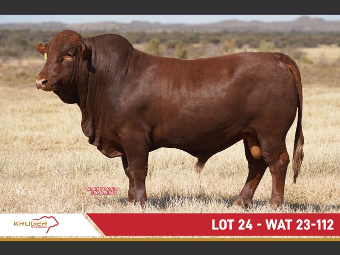 WAT230112 | KRUGER BOERDERY