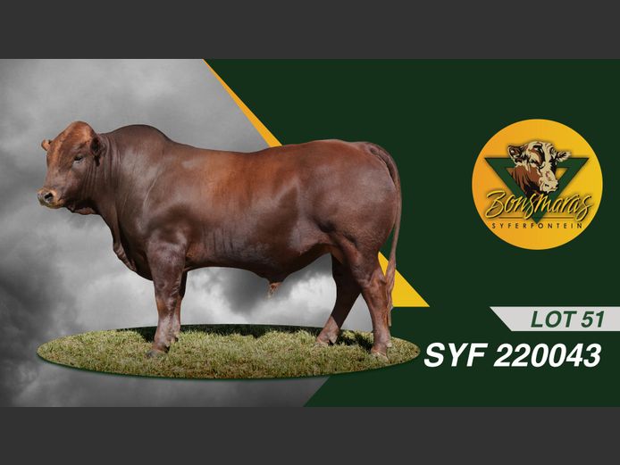 SYF220043 | SYFERFONTEIN BOERDERY