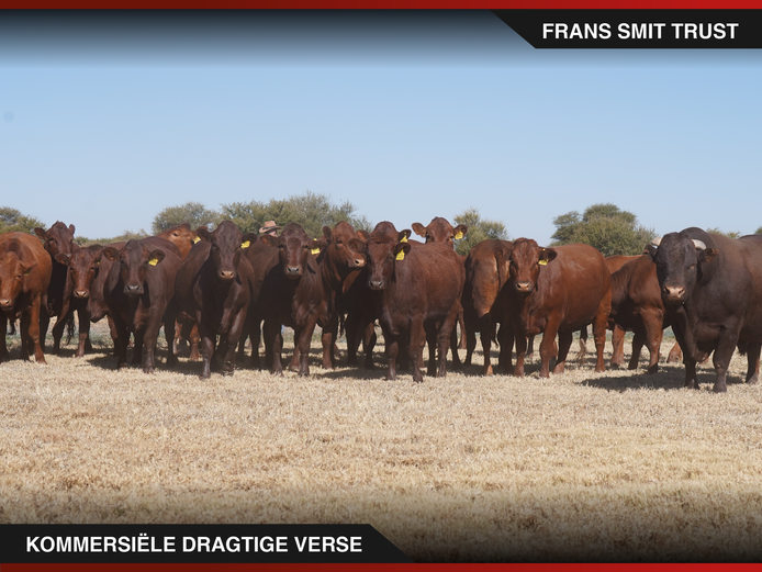Commercial Animals | Frans Smit Trust