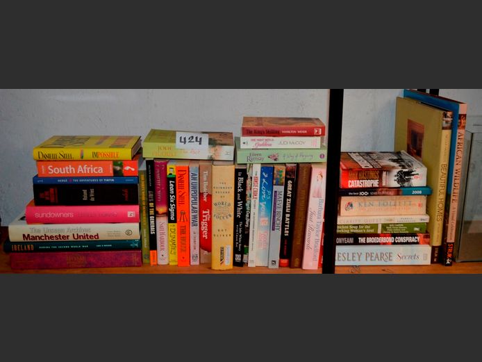 NOVELS: DANIELLE STEEL, LESLEY PEARCE, JODI PICOULT, KEN FOLLET, etc