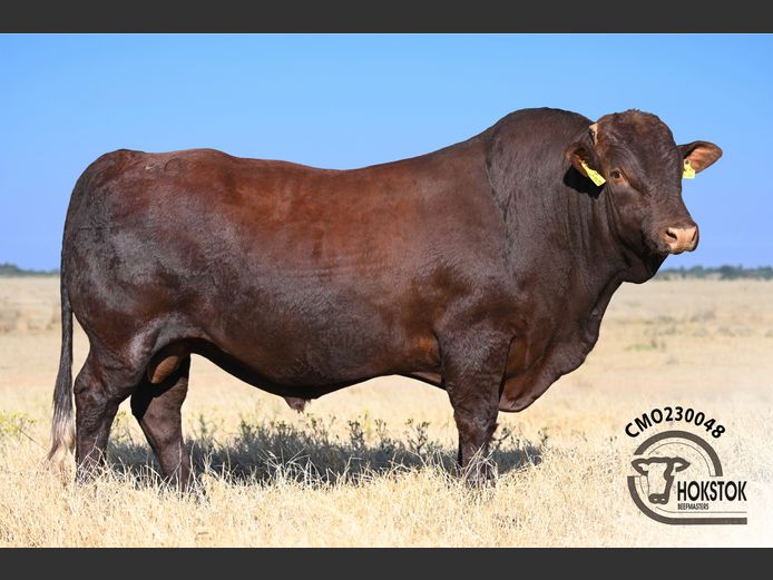 CMO230048 | WILDEHONDEPAN TRUST