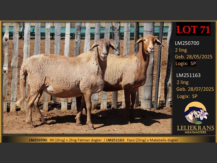 LM251163 | LELIEKRANS MEATMASTERS