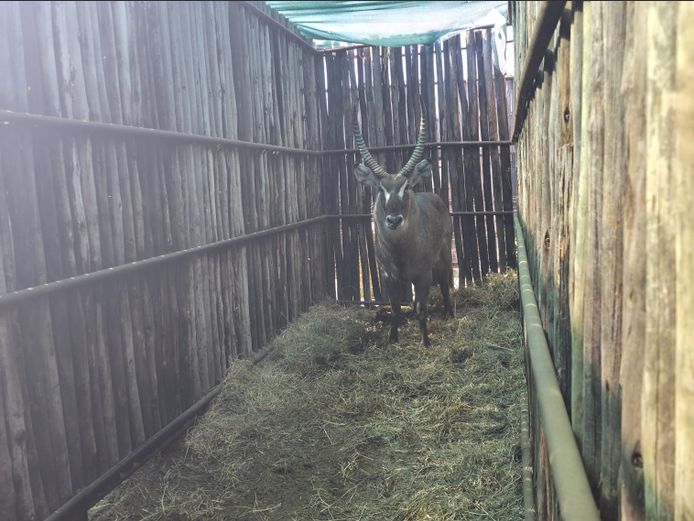 WATERBOK | HANLEY
