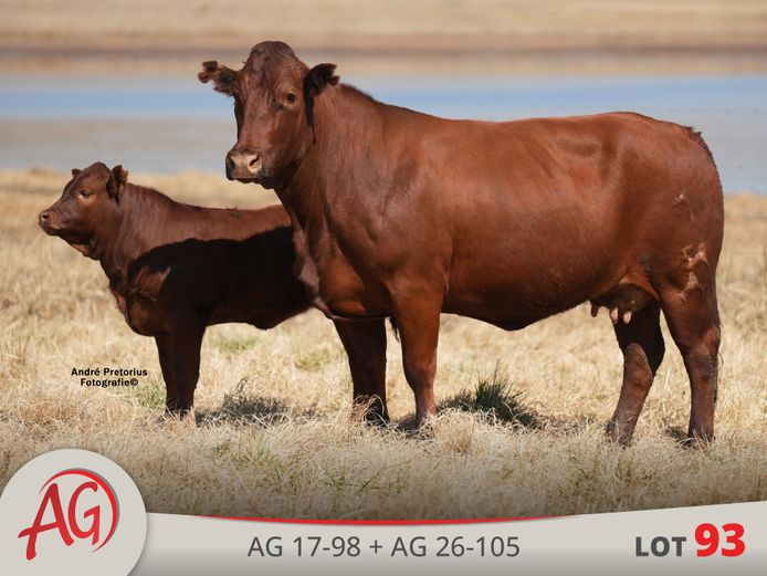 AG170098 | ARTHUR DE VILLIERS & SEUN