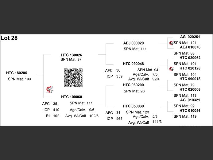 HTC 180205