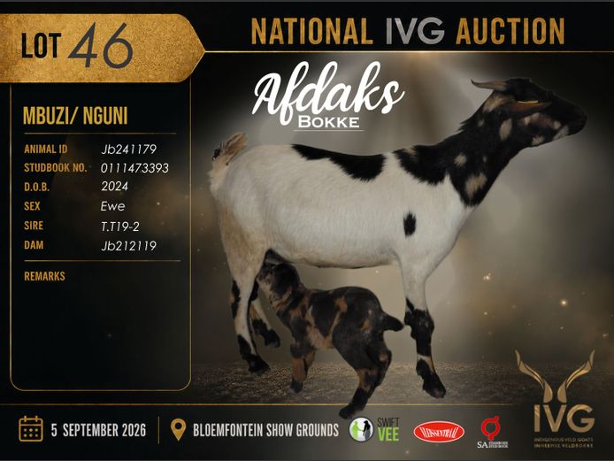 JB24 1179 | AFDAKS BOKKE