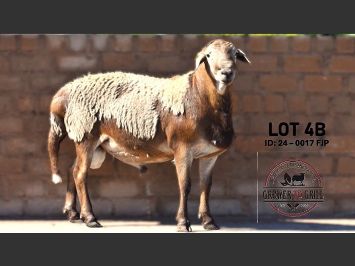 24-0017FJP | GROWER TO GRILL STUD