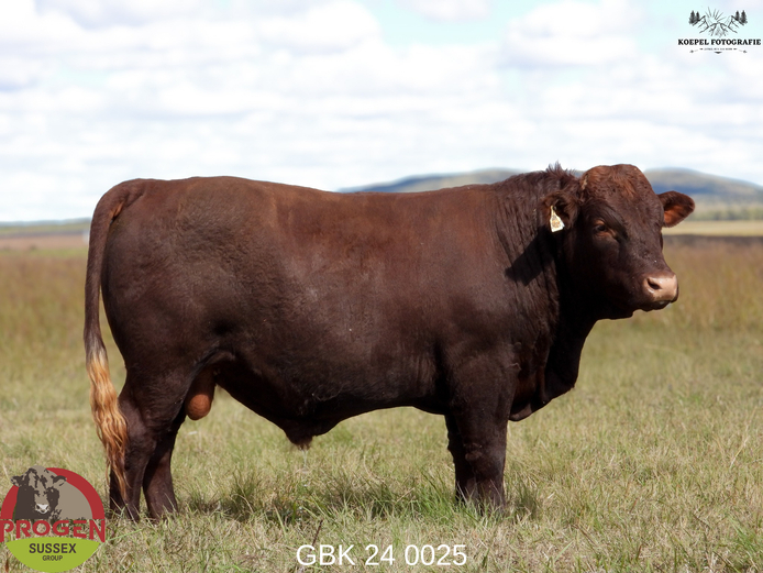 GBK 240025 | G.B. KEYSER