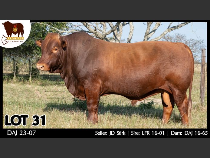 DAJ 230007 | J.D. STIRK