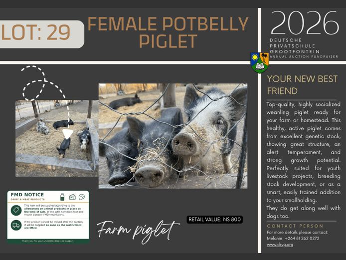 DEUTSCHE PRIVATSCHULE GROOTFONTEIN | FEMALE POTBELLY PIGLET