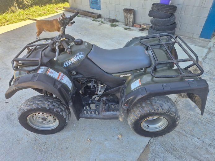 Suzuki Ozark 250
