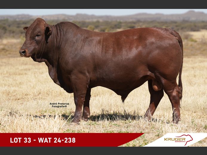 WAT240238 | KRUGER BOERDERY