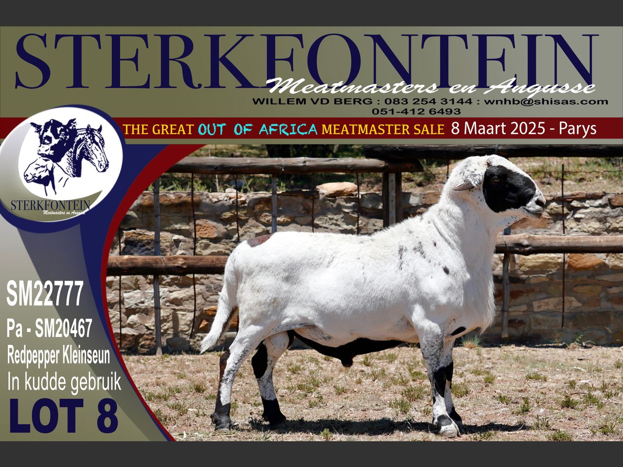 Lot 8 | THE GREAT OUT OF AFRICA MEATMASTER SALE | SwiftVEE | South ...