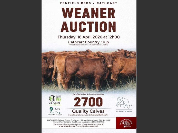 FENFIELD REDS WEANER SALE