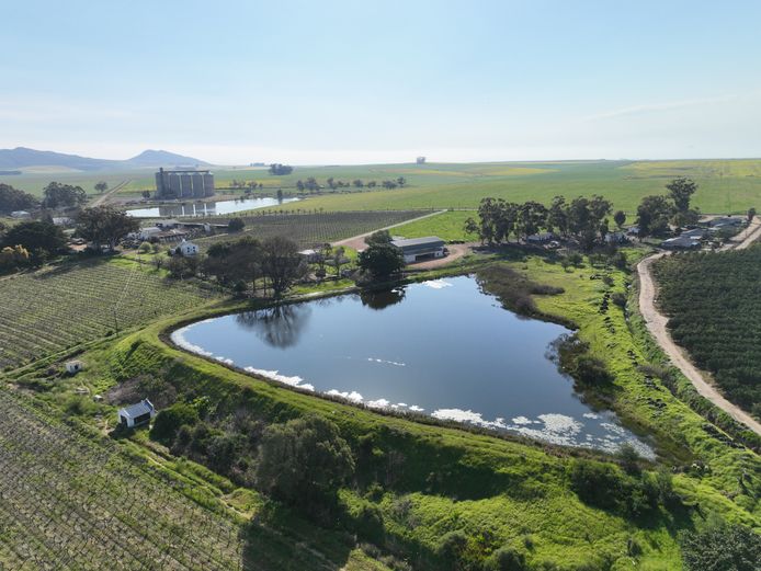 Farm 258 Oak Glen Piketberg RD and Ptn 11 of Farm Halfmans Hof 11 Tulbagh RD