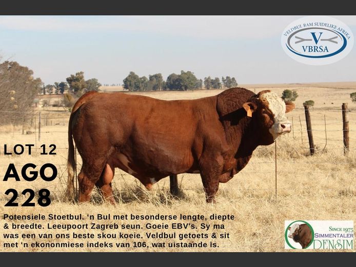 AGO228 | AG ODENDAAL