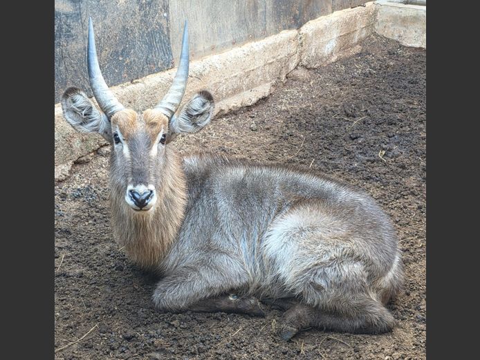 WATERBOK | LEBENKELE