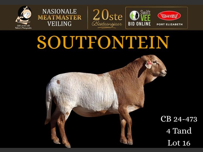 CB 24 473 | Soutfontein Meatmasters