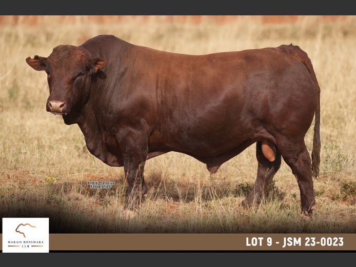 JSM 230023 | MARAIS BONSMARAS