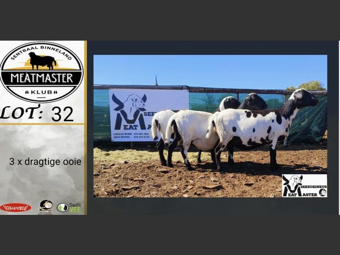 Ooie | Seeikoeineus Meatmasters