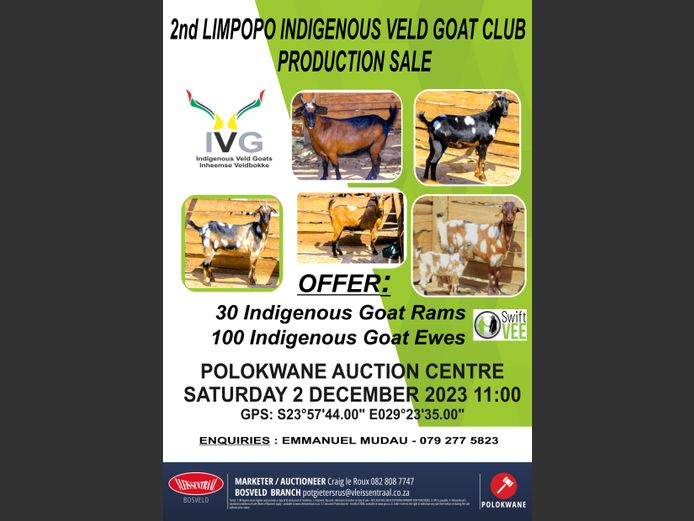 2ND LIMPOPO INDIGENOUS VELD GOAT CLUB PRODUCTION SALE