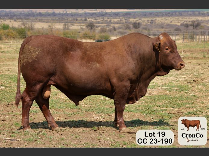 CC 230190 | CRONCO AGRI