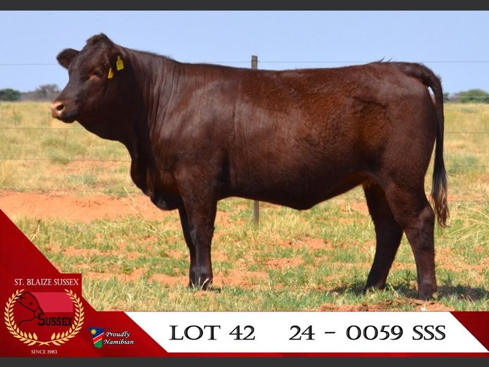 24-0059SSS | ST. BLAIZE SUSSEX