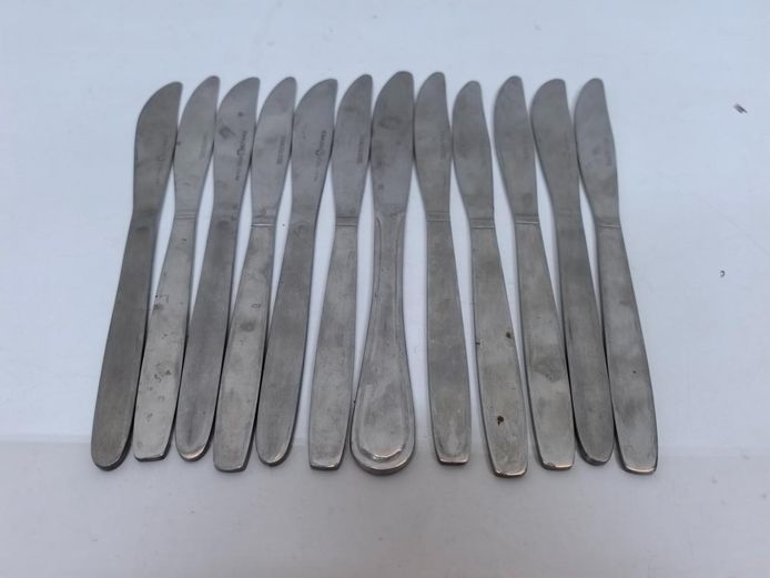 12-Piece Stainless Steel Dinner Knives  