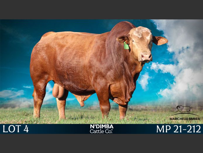 MP21212