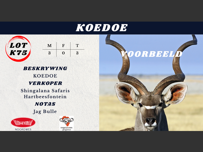 KOEDOE